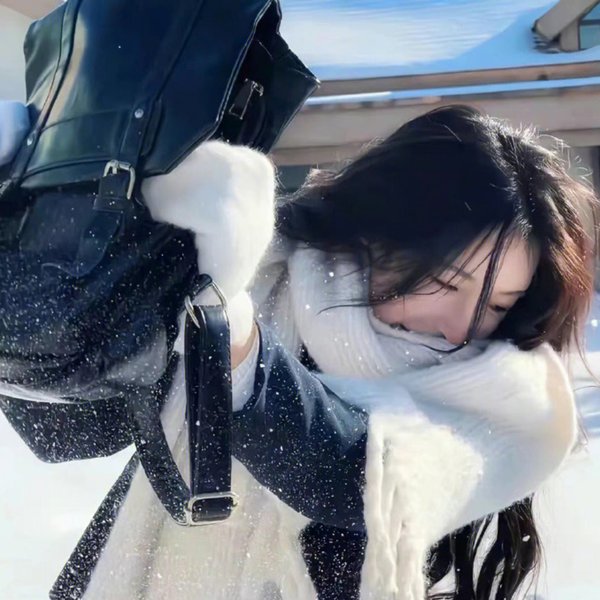 边境威龙