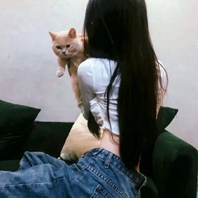 神探夏洛克：可恶的新娘